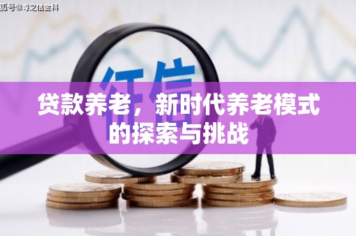 礼县贷款养老，新时代养老模式的探索与挑战