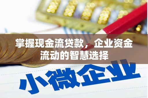 礼县掌握现金流贷款，企业资金流动的智慧选择