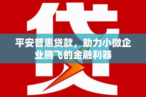 礼县平安普惠贷款，助力小微企业腾飞的金融利器