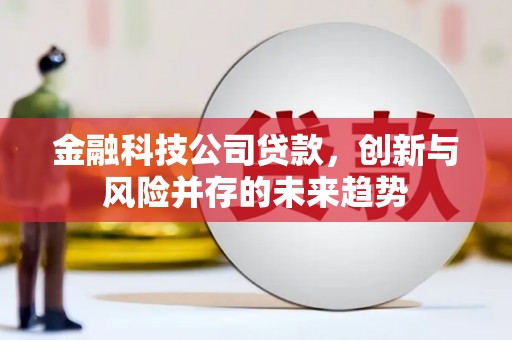 礼县金融科技公司贷款，创新与风险并存的未来趋势