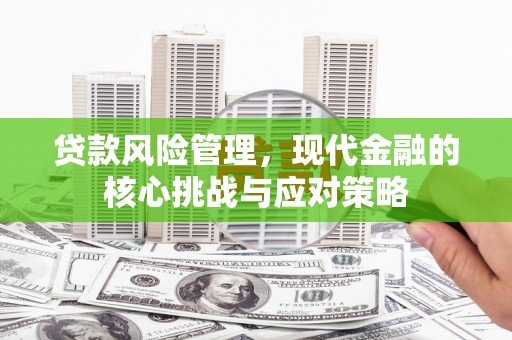 礼县贷款风险管理，现代金融的核心挑战与应对策略