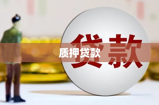 礼县质押贷款