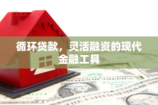 礼县循环贷款，灵活融资的现代金融工具