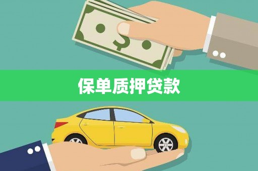 礼县保单质押贷款