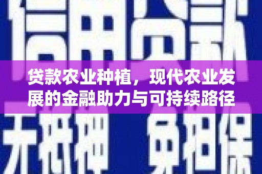 礼县贷款农业种植，现代农业发展的金融助力与可持续路径