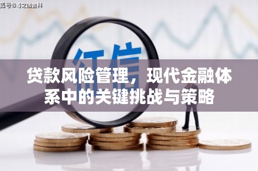 礼县贷款风险管理，现代金融体系中的关键挑战与策略