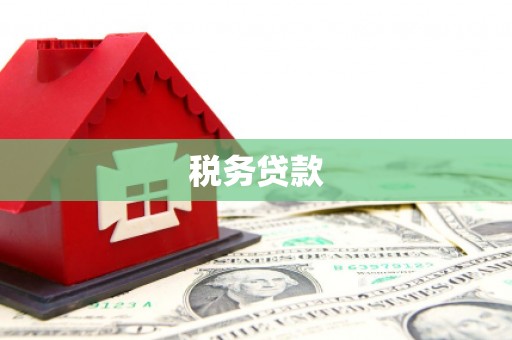 礼县税务贷款