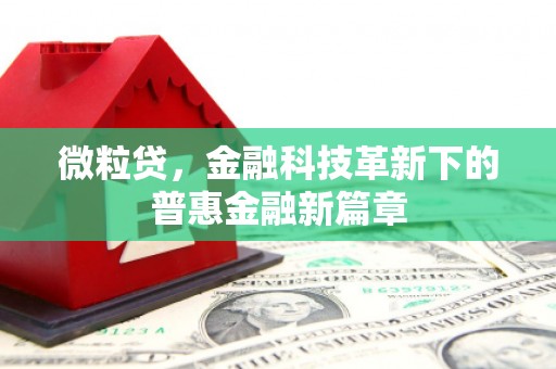 礼县微粒贷，金融科技革新下的普惠金融新篇章