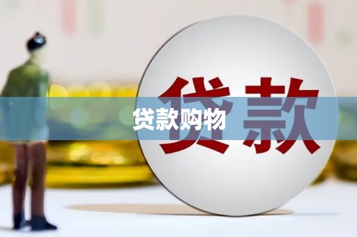 礼县贷款购物