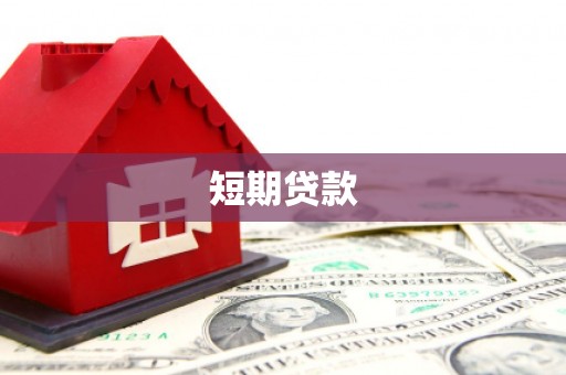 礼县短期贷款