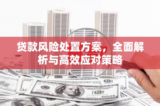 礼县贷款风险处置方案，全面解析与高效应对策略