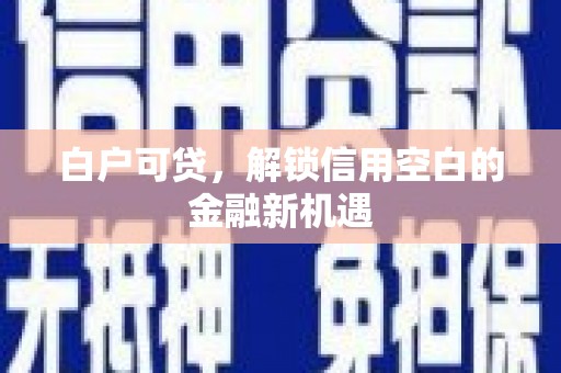 礼县白户可贷，解锁信用空白的金融新机遇