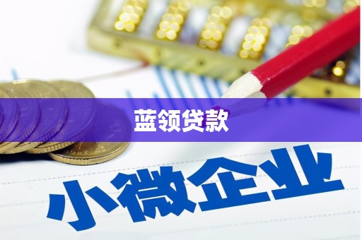 礼县蓝领贷款