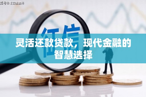 礼县灵活还款贷款，现代金融的智慧选择