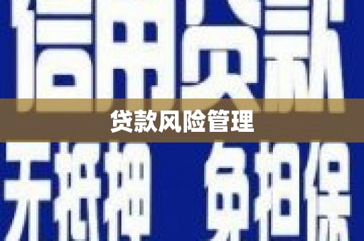 礼县贷款风险管理