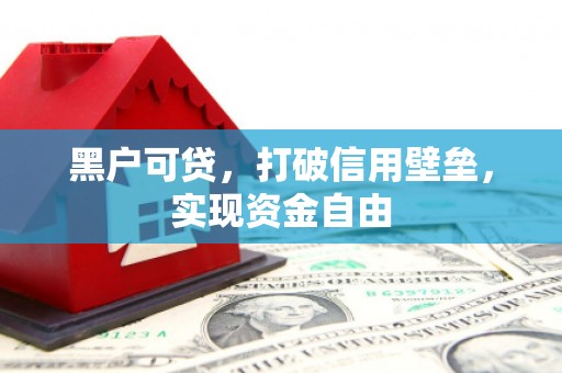 礼县黑户可贷，打破信用壁垒，实现资金自由
