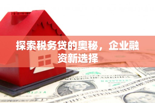 礼县探索税务贷的奥秘，企业融资新选择