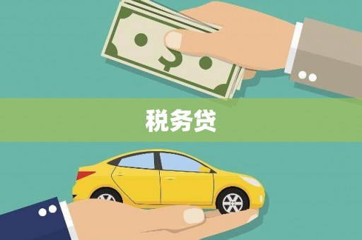 礼县税务贷
