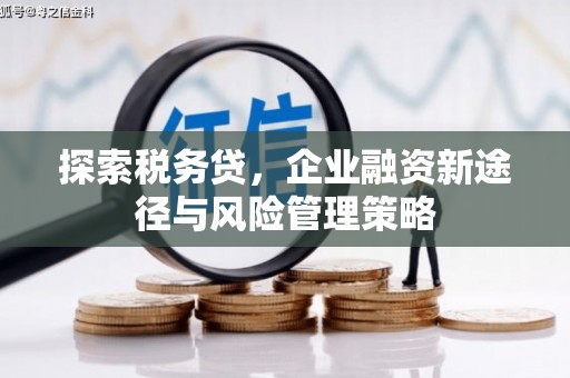 礼县探索税务贷，企业融资新途径与风险管理策略