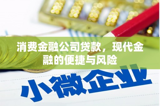 礼县消费金融公司贷款，现代金融的便捷与风险