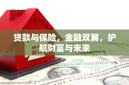 礼县贷款与保险，金融双翼，护航财富与未来