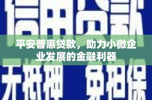 礼县平安普惠贷款，助力小微企业发展的金融利器