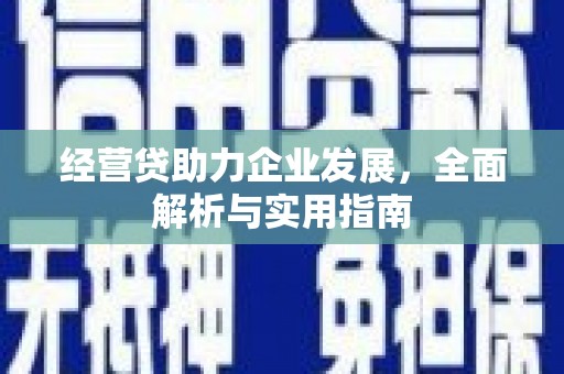 礼县经营贷助力企业发展，全面解析与实用指南