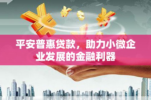 礼县平安普惠贷款，助力小微企业发展的金融利器