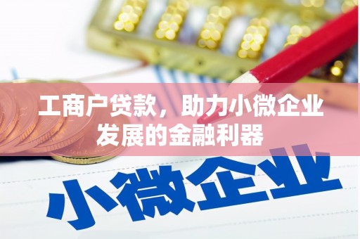 礼县工商户贷款，助力小微企业发展的金融利器