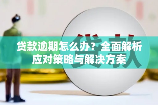 礼县贷款逾期怎么办？全面解析应对策略与解决方案
