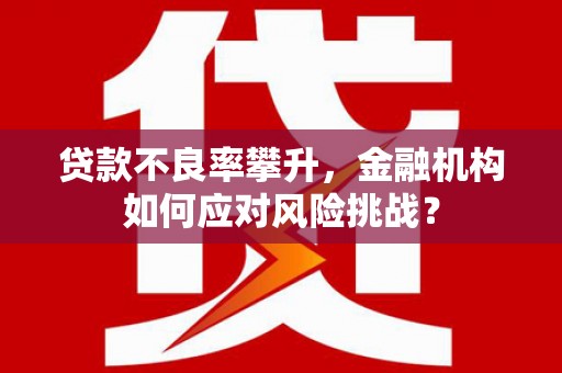 礼县贷款不良率攀升，金融机构如何应对风险挑战？