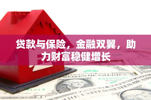 礼县贷款与保险，金融双翼，助力财富稳健增长