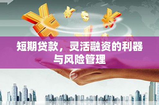 礼县短期贷款，灵活融资的利器与风险管理
