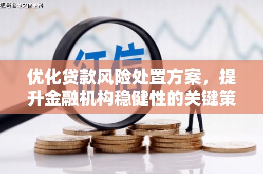 礼县优化贷款风险处置方案，提升金融机构稳健性的关键策略