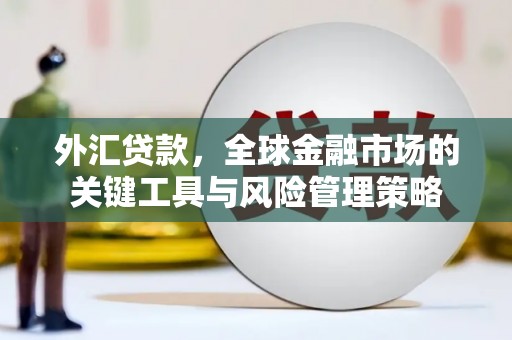礼县外汇贷款，全球金融市场的关键工具与风险管理策略