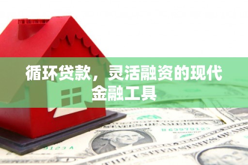 礼县循环贷款，灵活融资的现代金融工具