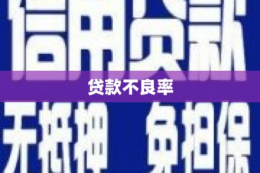 礼县贷款不良率