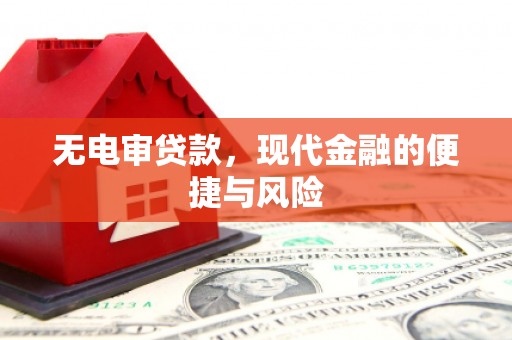 礼县无电审贷款，现代金融的便捷与风险