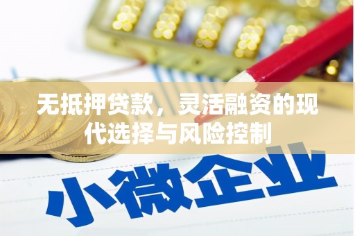 礼县无抵押贷款，灵活融资的现代选择与风险控制
