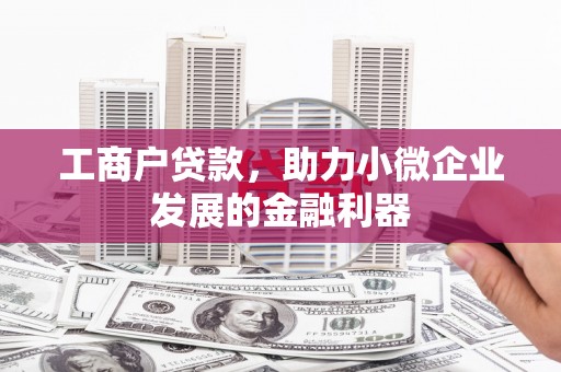 礼县工商户贷款，助力小微企业发展的金融利器