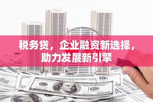 礼县税务贷，企业融资新选择，助力发展新引擎
