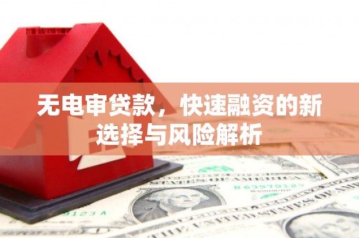礼县无电审贷款，快速融资的新选择与风险解析