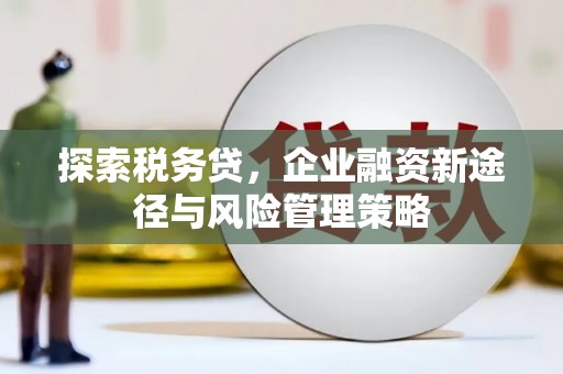 礼县探索税务贷，企业融资新途径与风险管理策略