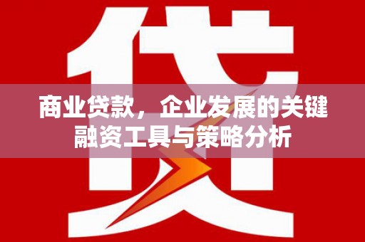 礼县商业贷款，企业发展的关键融资工具与策略分析