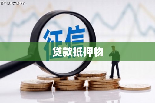 礼县贷款抵押物
