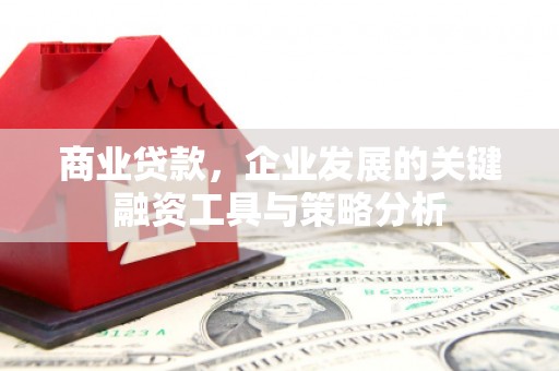 礼县商业贷款，企业发展的关键融资工具与策略分析