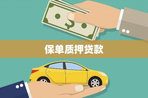 礼县保单质押贷款