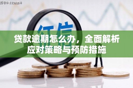 礼县贷款逾期怎么办，全面解析应对策略与预防措施