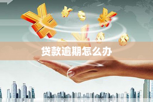 礼县贷款逾期怎么办