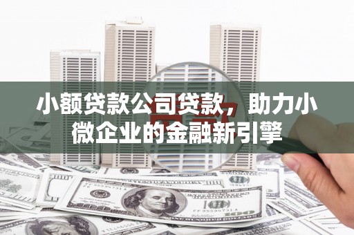 礼县小额贷款公司贷款，助力小微企业的金融新引擎